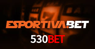 Experiência VIP 530bet